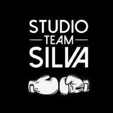 Logo Studio Team Silva